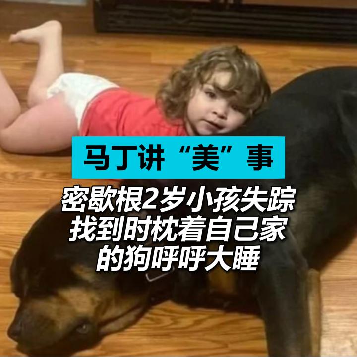 密歇根2岁小孩失踪 找到时枕着自己家的狗呼呼大睡